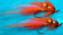 Video thumb for The Calvin Shrimp
