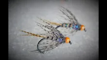 Video thumb for MB Spider Orange Head