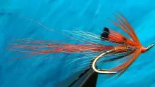 Video thumb for Orange Ally's Shrimp