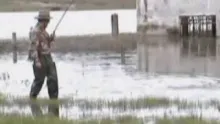 Video thumb for Carp on fly